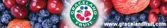 graceland ad