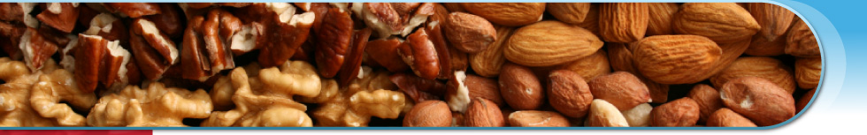 food banner