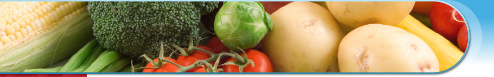 food banner